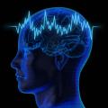 imagen para "brainwave" en polaco