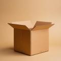 imagen para "This box is brown." en polaco