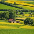 imagen para "countryside" en polaco