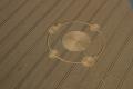 imagen para "crop circle" en polaco