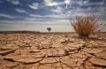 imagen para "drought" en polaco