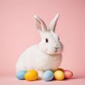 imagen para "Easter Bunny" en polaco