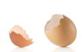 imagen para "eggshell" en polaco