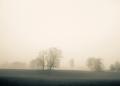 imagen para "foggy" en polaco
