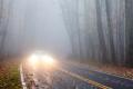 imagen para "foggy" en polaco