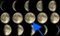 imagen para "full moon" en polaco