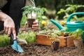 imagen para "gardening" en polaco