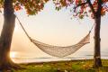 imagen para "hammock" en polaco