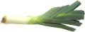 imagen para "leek" en polaco