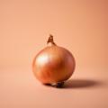 imagen para "onion" en polaco