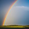 imagen para "rainbow" en polaco