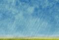 imagen para "rainy" en polaco