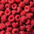 imagen para "raspberry" en polaco