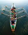 imagen para "rowing" en polaco
