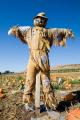imagen para "scarecrow" en polaco