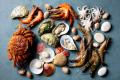imagen para "seafood" en polaco