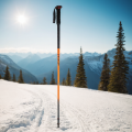 imagen para "ski pole" en polaco