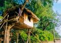 imagen para "treehouse" en polaco