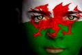 imagen para "Welsh" en polaco
